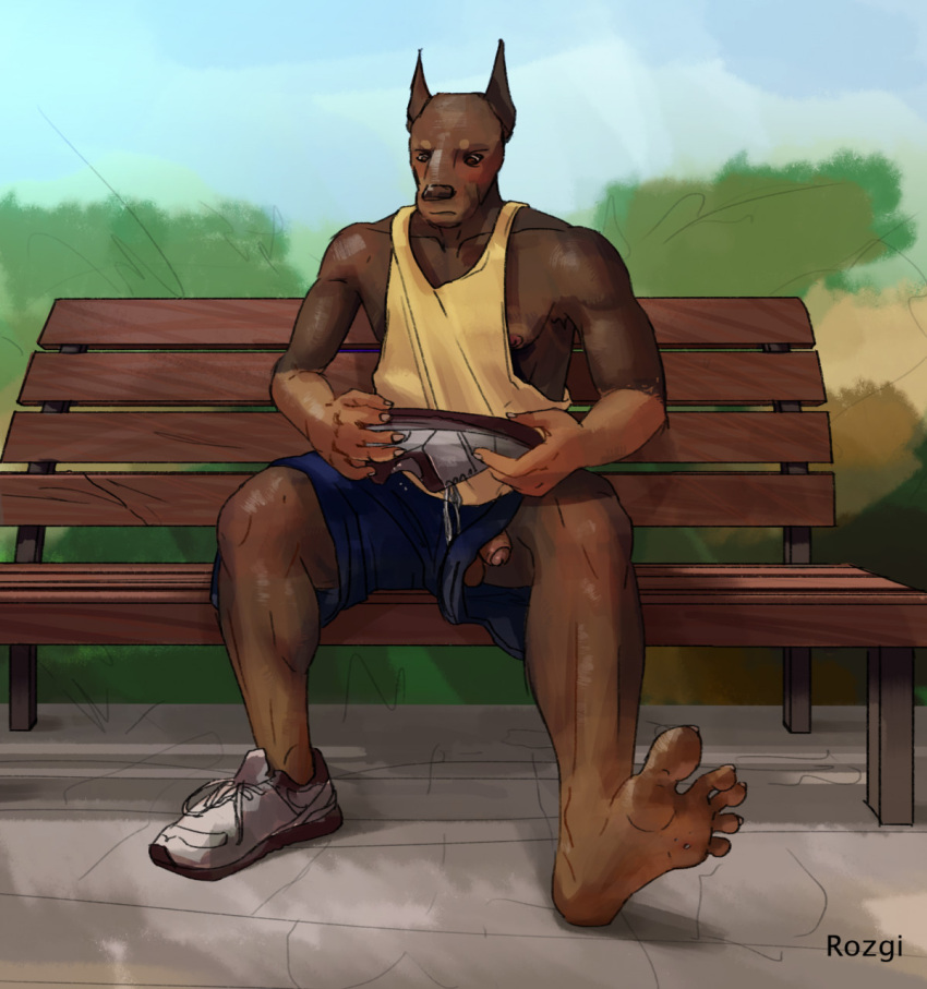 5_fingers 5_toes anthro balls barefoot bench bottomwear canid canine canis clothed clothing digital_media_(artwork) dobermann domestic_dog feet fingers flaccid footwear foreskin fur genitals hi_res holding_clothing holding_footwear holding_object holding_shoes humanoid_feet humanoid_genitalia humanoid_hands humanoid_penis male mammal on_bench partially_retracted_foreskin penis pinscher plantigrade poking_out rozgi shirt shoes shorts sitting soles solo tank_top toes topwear