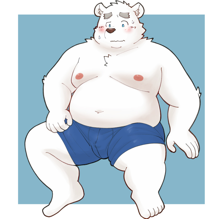 2024 anthro bear belly big_belly blush bulge clothing fur hi_res humanoid_hands kemono male mammal moobs navel nipples overweight overweight_male polar_bear shirane_kan simple_background solo underwear ursine utau white_body white_fur yaki_atsuage