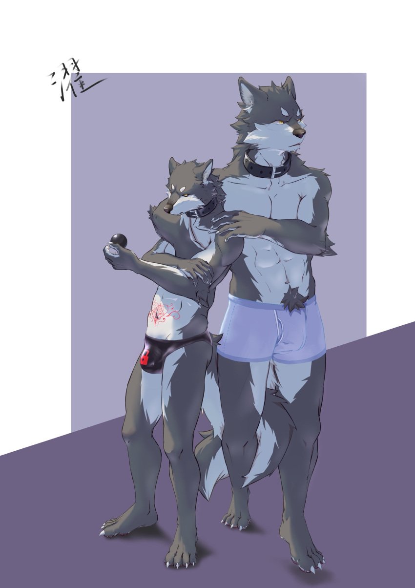 2023 abs anthro athletic athletic_anthro athletic_dom athletic_male athletic_sub az0000 biceps biped black_latex boxers_(clothing) boxers_only bulge canid canine canis clothed clothing collar countershade_fur countershading detailed_bulge dominant dominant_anthro dominant_male duo fur grey_body grey_fur hi_res latex latex_clothing latex_skinsuit leather leather_collar lock_bulge male male/male mammal pecs pubic_tattoo shirtless_anthro shirtless_male skinsuit standing submissive submissive_anthro submissive_male tight_clothing topless underwear underwear_only white_body white_countershading white_fur wolf yellow_eyes