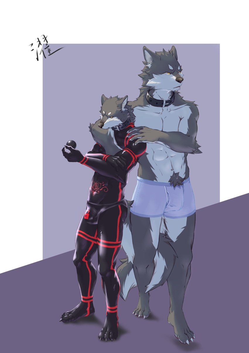 2023 abs anthro athletic athletic_anthro athletic_dom athletic_male athletic_sub az0000 biceps biped black_latex boxers_(clothing) boxers_only bulge canid canine canis clothed clothing collar countershade_fur countershading detailed_bulge dominant dominant_anthro dominant_male duo fur grey_body grey_fur hi_res latex latex_clothing latex_skinsuit leather leather_collar lock_bulge male male/male mammal pecs pubic_tattoo shirtless_anthro shirtless_male skinsuit standing submissive submissive_anthro submissive_male tight_clothing topless underwear underwear_only white_body white_countershading white_fur wolf yellow_eyes