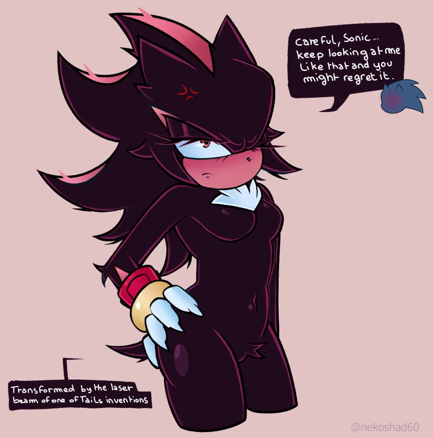 Sonic (Series) Rule 34 Image