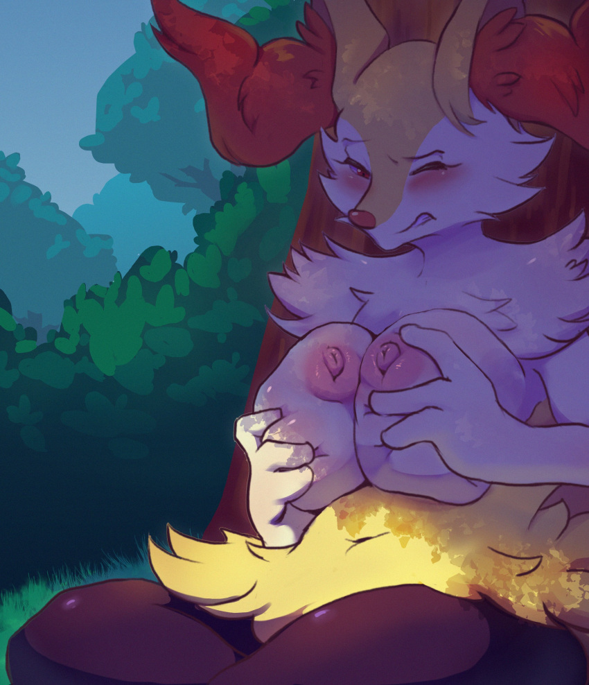 Braixen (Nintendo) Rule 34 Image