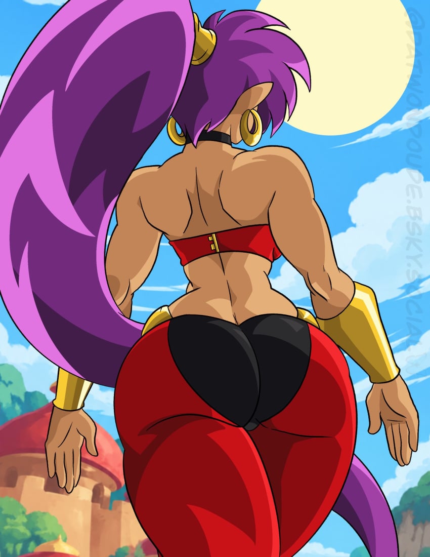 Shantae (Character) Rule 34 Image