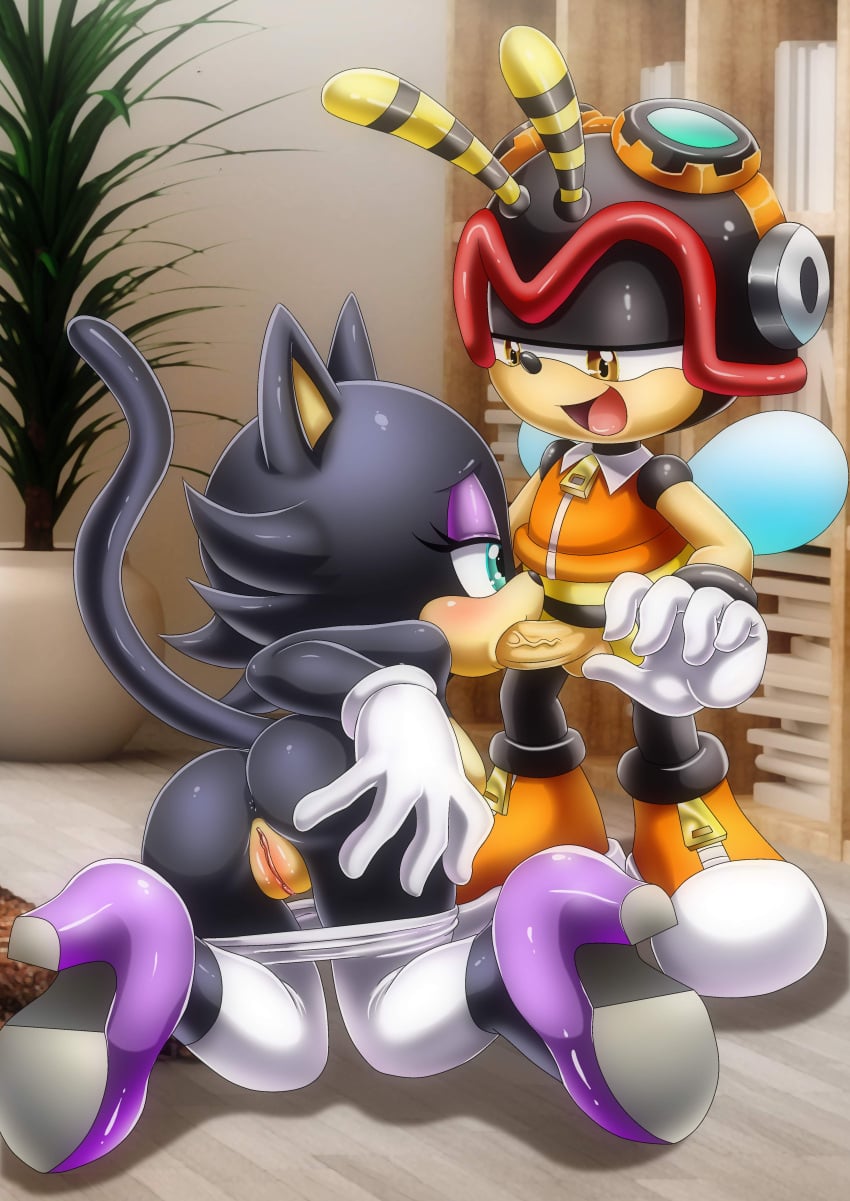 Charmy Bee (Sasha Cat) Rule 34 Image