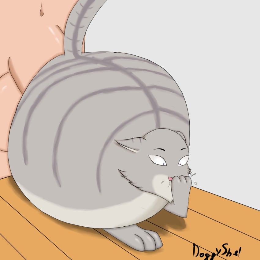 1:1 Rule 34 Image