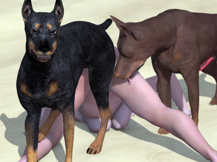 3d bared_teeth breasts canine canis3 doberman female feral forced human interspecies knot knot_dragging knot_hanging knotted knotting mammal nipples rape sara sex zoophilia