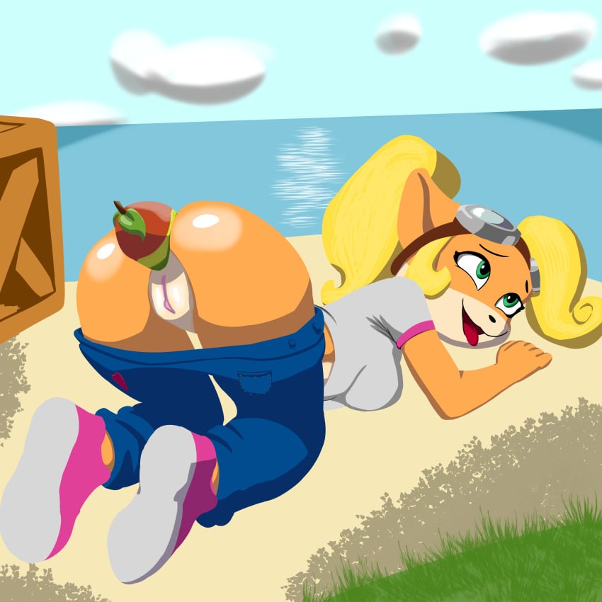 Coco Bandicoot (Activision) Rule 34 Image