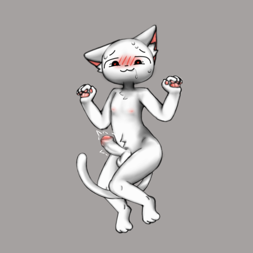 1:1 Rule 34 Image