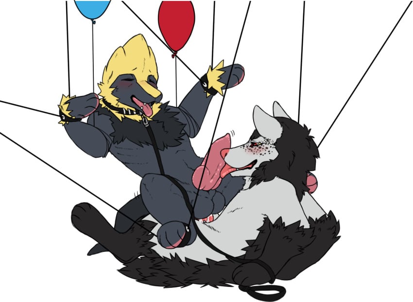 balloon black_fur blue_fur blush bondage collar cum fur furry furry_only gay grey_fur hyena leash male manectric mightyena mute-owl nintendo no_humans oral orgasm penetration pokemon string tongue video_games yellow_fur