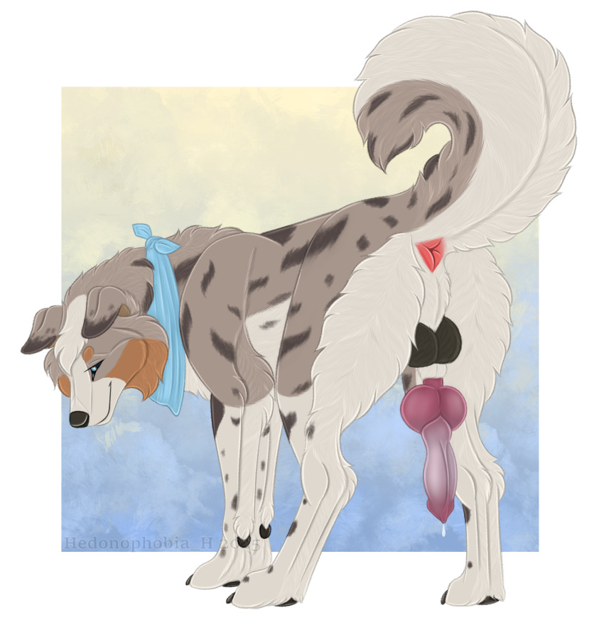 Anus Rule 34 Image