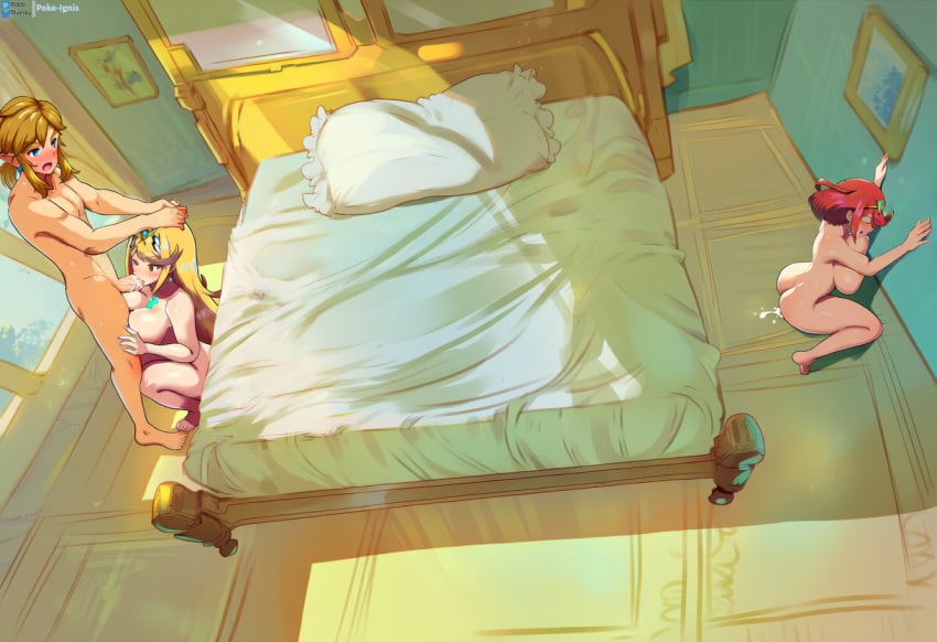Link (Breath Of The Wild) Rule 34 Image