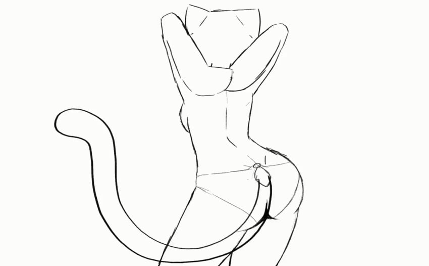 1girls animated animated_gif anthro ass_focus ass_shake clothing feline female furry giantess gif in k_o_tsitraeht micro size tail tiny trapped_in_clothing underwear zoe_(zoeandtom)