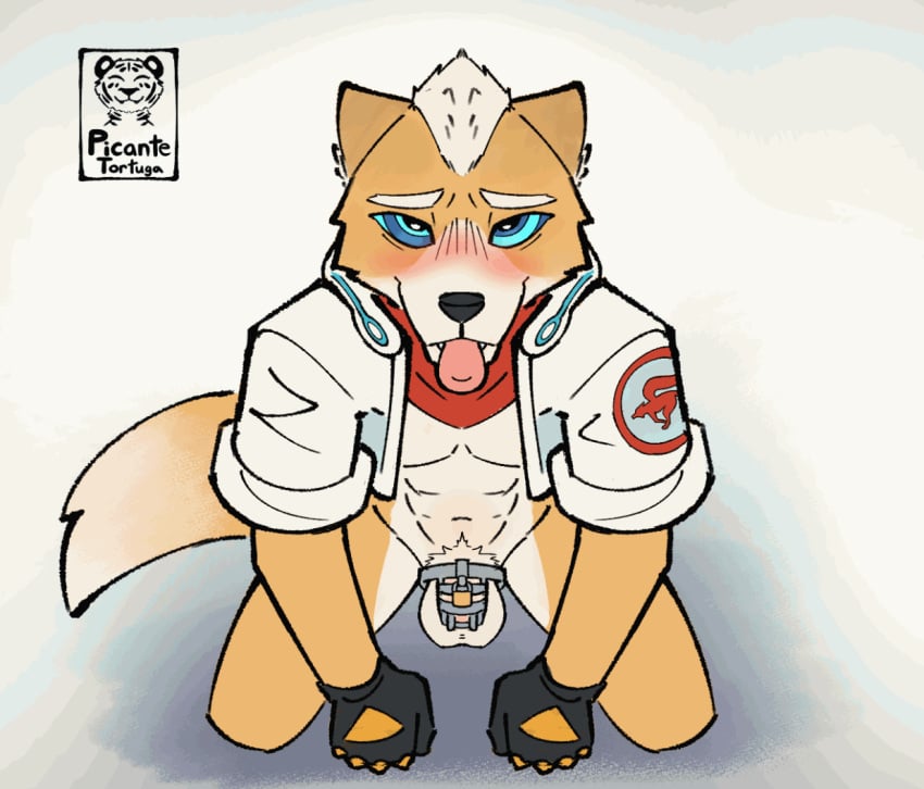 animated anthro balls blush bondage canid canine chastity_cage chastity_device clothed clothing digital_media_(artwork) english_text fox fox_mccloud fur furry genitals hair humanoid_genitalia humanoid_penis hypnosis kneeling looking_at_viewer male male_only mammal mind_control nintendo nude open_mouth partially_clothed penis picantetortuga simple_background smile solo solo_male star_fox submissive tail tail_motion tailwag teeth text throbbing throbbing_penis tongue topwear twitching white_body white_fur