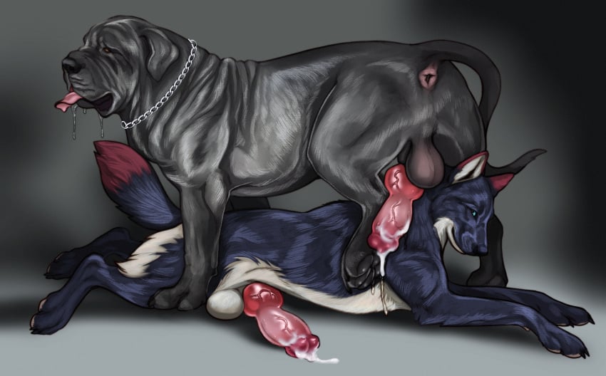 anatomically_correct animal_genitalia animal_penis anus balls belly black_body black_fur blue_body blue_eyes blue_fur bodily_fluids canid canine canine_genitalia canine_penis canis chain_leash chains collar cum detailed detailed_fur dog_paws domestic_dog drooling duo ear_tuft ejaculation erection feral floppy_ears fur genital_fluids genitals hi_res jetraraven knot knotted_penis leash looking_at_viewer lying male male/male mammal mastiff molosser multicolored_body multicolored_fur neapolitan_mastiff on_front penis penis_on_ground prick_ears quadruped raised_leg rex_(kingmastiff30) saliva simple_background standing_over standing_position tail tongue tongue_out tuft white_belly winston_(draconicthistle) wolf wrinkles
