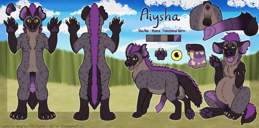 2022 aiysha animal_genitalia anthro anus balls breasts ear_piercing feral genitals grey_body hair herm hyena iceshadow13 intersex male mammal model_sheet nipples piercing pseudo-penis purple_hair raised_tail rule_63 solo tagme tail tail_anus teeth variations yellow_eyes