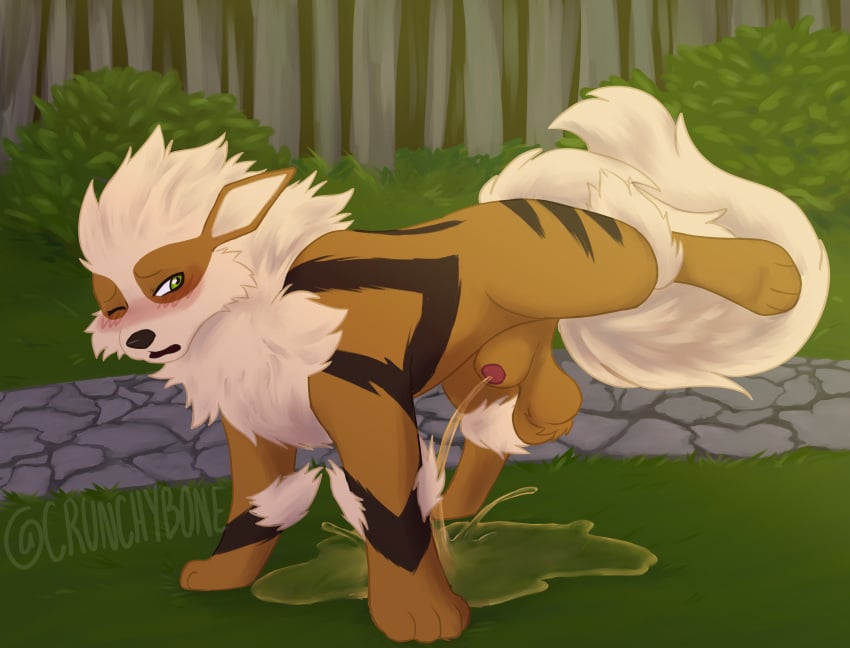absurd_res animal_genitalia arcanine artist_name balls bathroom big_balls blush bodily_fluids crunchybone feral generation_1_pokemon genital_fluids genitals hi_res hiked_leg male nintendo one_eye_closed outside peeing peeing_on_ground penis penis_tip pokemon pokemon_(species) public public_nudity public_restroom public_urination raised_leg sheath solo text urine urine_on_ground urine_pool urine_stream watersports