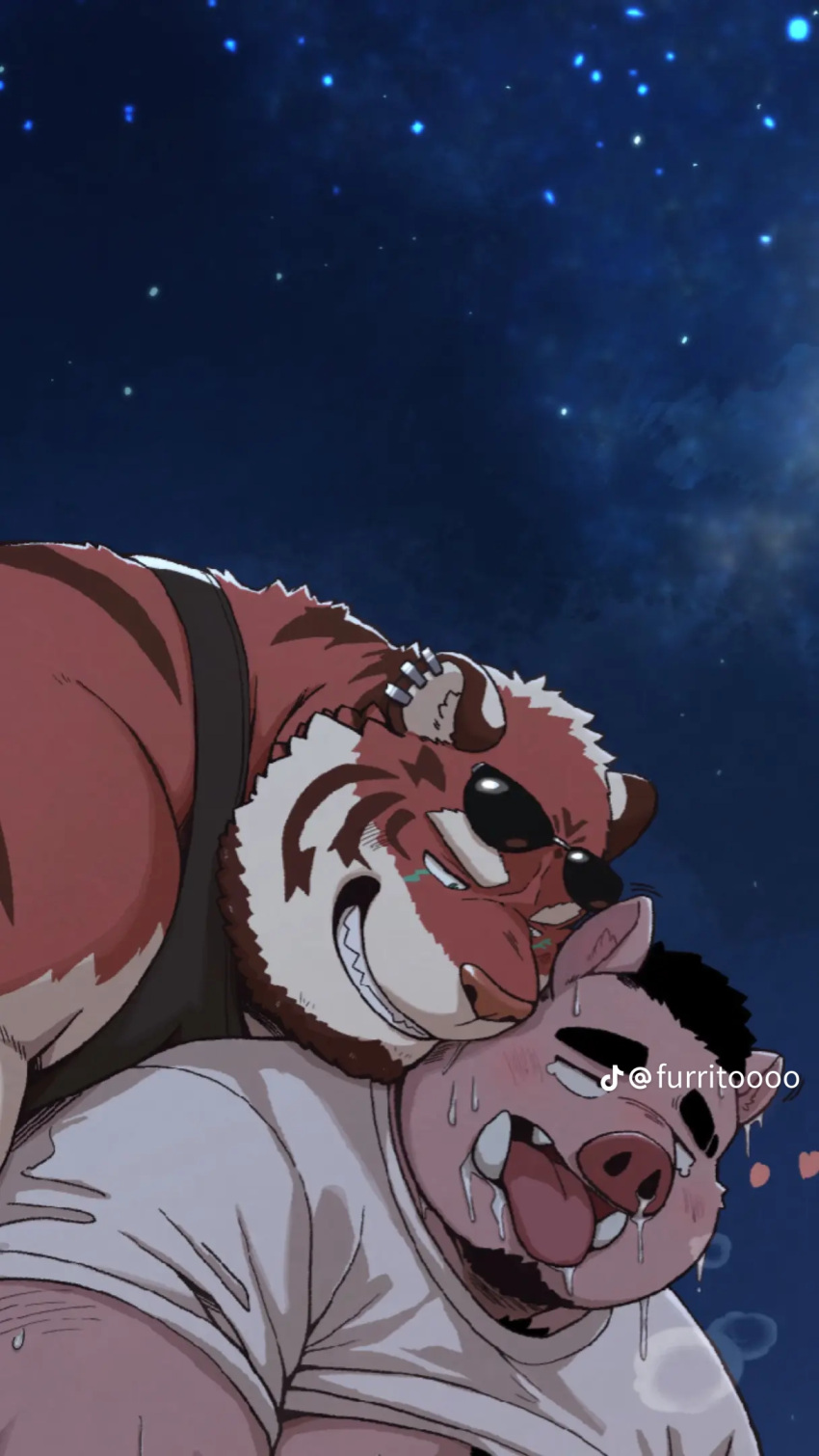 anthro barazoku beard bodily_fluids domestic_pig duo facial_hair felid hi_res male male/male mammal pantherine suid suine sus_(pig) sweat tiger unknown_artist
