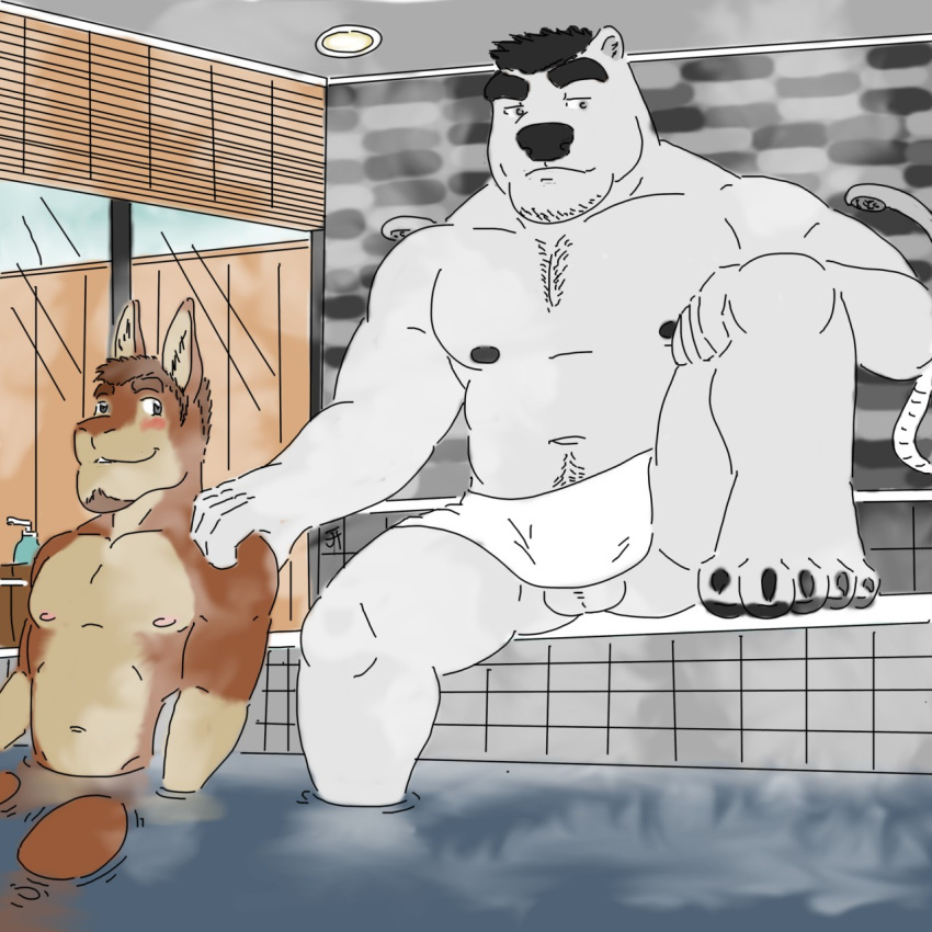 2018 anthro balls barazoku bath bathhouse bear belly_hair biceps black_hair black_nipples blush body_hair brown_hair casual_nudity chest_hair duo facial_hair feet genitals goatee hair hand_on_shoulder hi_res hot_spring jadehusk knee_up lagomorph leporid looking_at_another looking_at_partner male male/male mammal manly musclegut muscular muscular_arms muscular_legs navel nipples nude onsen partially_submerged pecs polar_bear rabbit slightly_chubby steam story story_in_description towel towel_around_waist ursine water