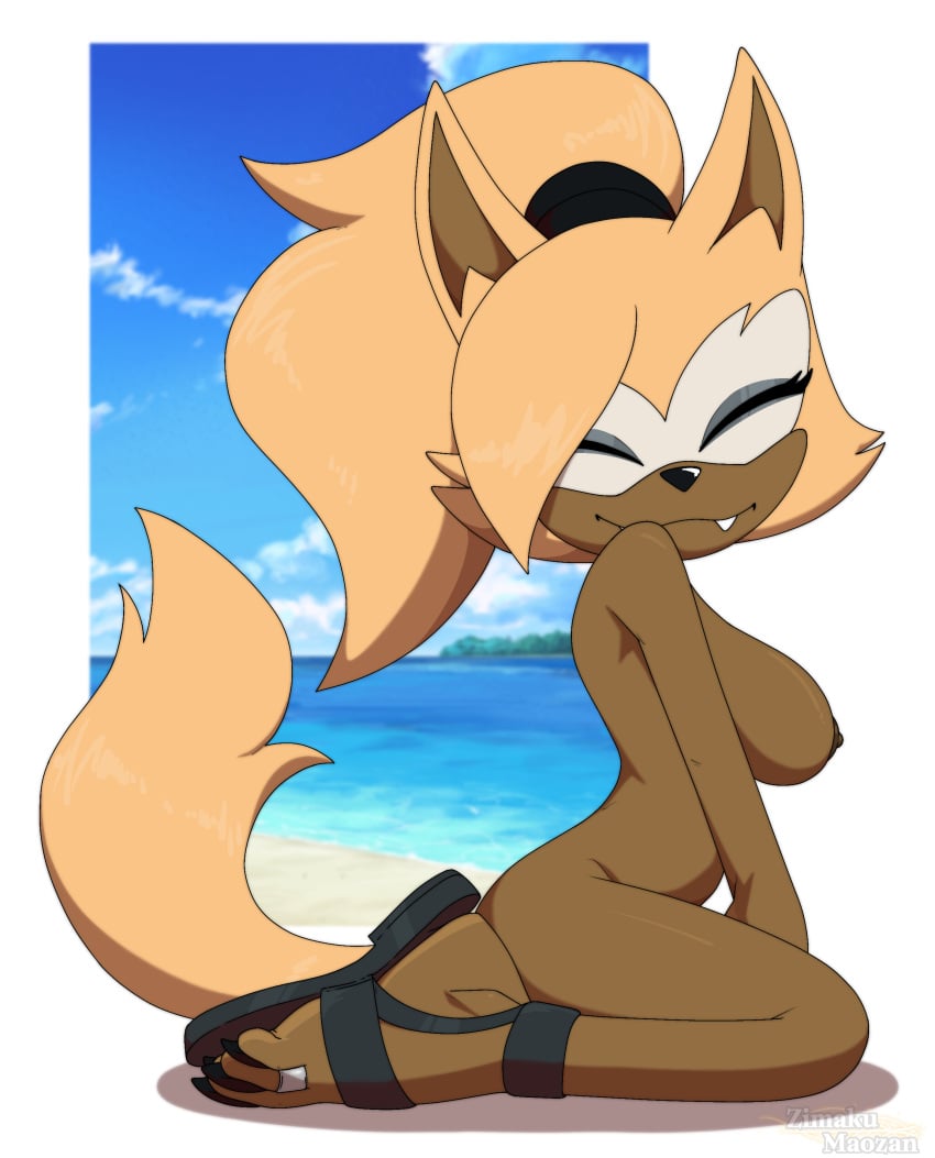 absurd_res anthro beach breasts canid canine canis clothing digital_drawing_(artwork) digital_media_(artwork) female foot_ninja15 footwear footwear_only hi_res idw_publishing mammal mostly_nude nipples nude sandals sandals_only sega shoes solo sonic_the_hedgehog_(comics) sonic_the_hedgehog_(idw) sonic_the_hedgehog_(series) whisper_the_wolf wolf