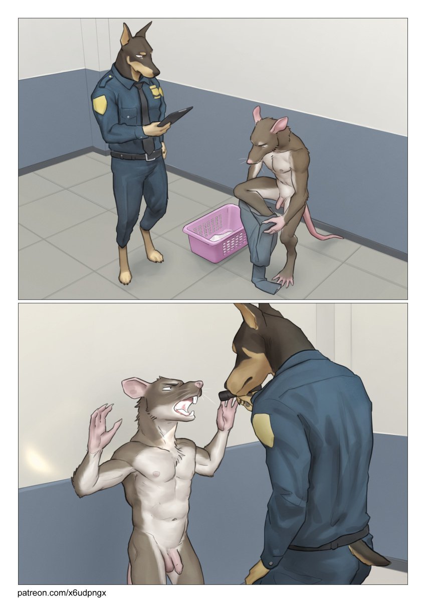 absurd_res anthro bottomwear bottomwear_down canid canine canis clothed clothed/nude clothing comic digitigrade dobermann domestic_dog duo flaccid flashlight foreskin frown genitals hands_up hi_res high-angle_view humanoid_genitalia humanoid_penis male male/male mammal mouth_closed navel necktie nude open_mouth pants pants_down partially_clothed penis pinscher pngx police police_uniform prisoner standing strip_search text three-quarter_view uniform unretracted_foreskin url