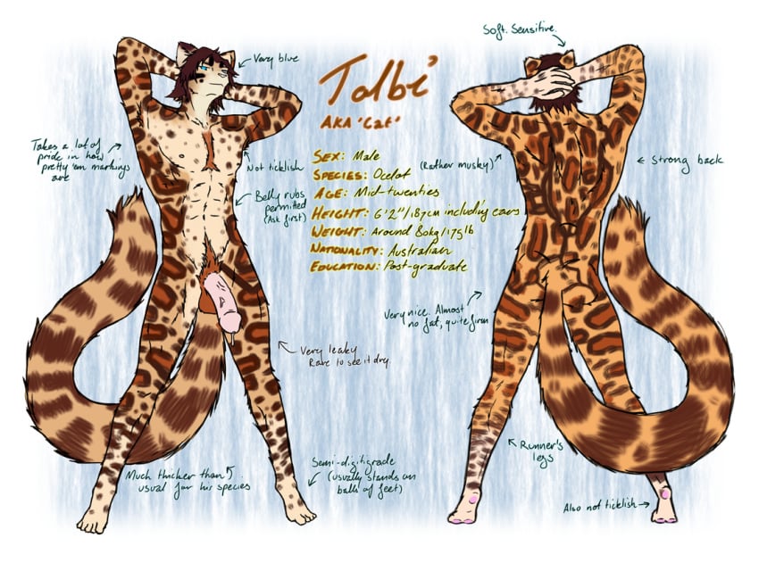 1boy 2015 anthro ass balls dribbling english_text feline long_hair looking_at_viewer male male_only mammal model_sheet ocelot penis precum solo standing text tolbi tolbi_(character)