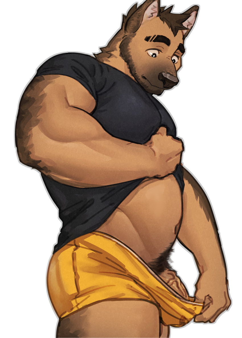 2024 absurd_res anthro beard biceps black_clothing black_shirt black_topwear briefs briefs_down canid canine canis clothed clothing domestic_dog facial_hair forearm_muscles genitals hi_res looking_at_genitalia looking_at_penis looking_down male mammal maruikito musclegut muscular navel pecs penis pubes raised_clothing raised_shirt raised_topwear shirt simple_background solo topwear triceps underwear vein veiny_penis white_background yellow_briefs yellow_clothing yellow_underwear