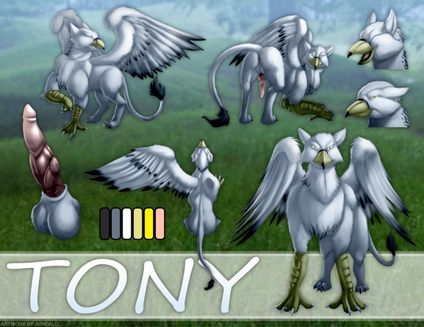 2015 angry animal_genitalia anus ass avian bad_dragon balls beak bird claws erection feathers feral fur gryphon happy juindalo knot looking_at_viewer looking_back male mammal model_sheet nude open_mouth penis presenting presenting_anus presenting_hindquarters smile solo spread_legs spreading tony white_fur wings