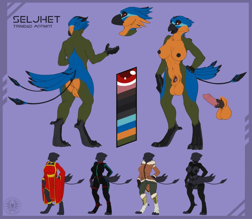 animal_genitalia animal_penis annoyed anthro avian balls big_balls bird breasts clothing digitigrade equine_penis erection feathers herm hi_res horsecock intersex model_sheet motmot multiple_poses penis pose pussy red_eyes seljhet sheath smile solo standing surprise thorphax