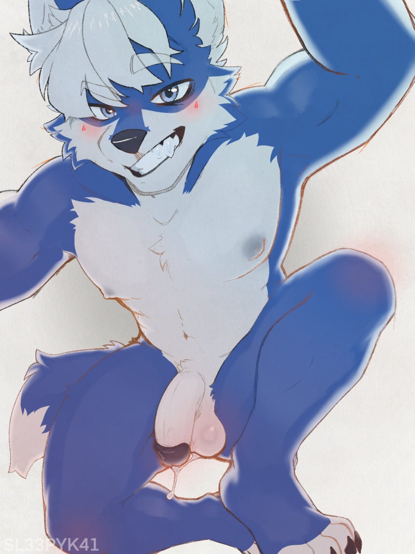3:4 anthro balls bent_legs blue_body blue_eyes blue_fur bluu_foxx bodily_fluids canid canine canis crouching cum domestic_dog feet fox fur genital_fluids genitals hair hi_res humanoid_genitalia humanoid_penis kneeling leaking_cum leaking_precum male mammal nipples nude paws penis precum sleepykai slightly_chubby smile smiling_at_viewer solo tall teeth twunk white_body white_fur white_hair wolf