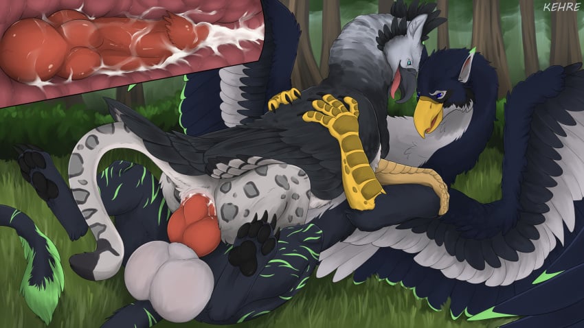 anal anal_sex anus avian beak black_beak black_body black_claws black_feathers black_fur black_pawpads bodily_fluids claws cum cum_in_ass cum_inside duo erection feathers feet feral forest forest_background fur genital_fluids genitals grass grey_body grey_fur gryphon hi_res internal internal_anal kehreazerith knot male male/male mythological_avian mythological_creature mythology nature nature_background pawpads penetration penis pink_anus plant red_knot red_penis talons toes tree