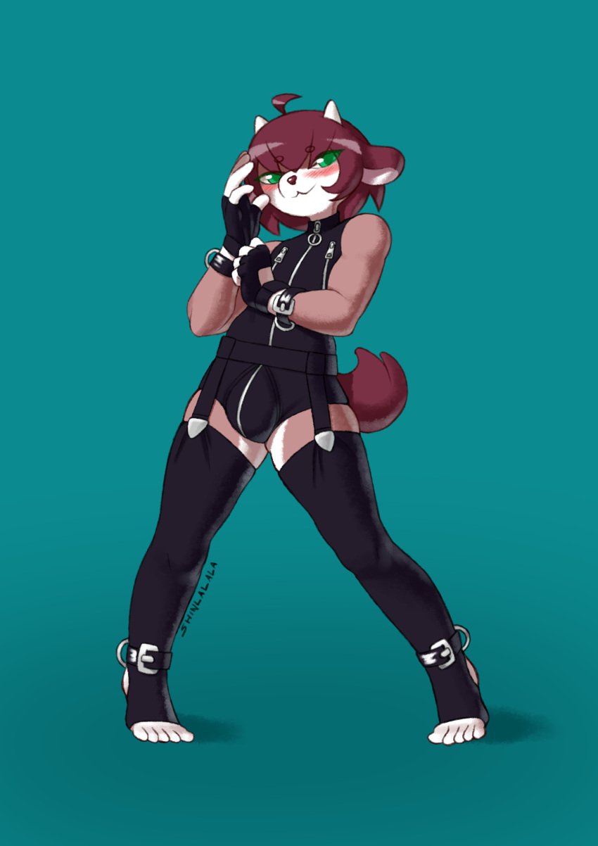 1boy 2023 ahoge ankle_cuffs anthro artist_name artist_signature blue_background blush bulge femboy fingerless_gloves furry goat goat_boy green_eyes latex latex_suit liam_(shinlalala) male male_focus male_only original shinlalala solo solo_focus solo_male tail thighhighs twink wrist_cuffs