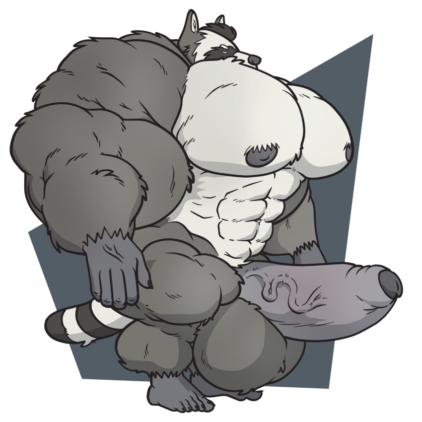 1:1 abstract_background anthro big_muscles big_penis chrm genitals hi_res huge_cock huge_muscles hyper hyper_genitalia hyper_muscles hyper_penis looking_aside male mammal muscular pecs penis procyonid raccoon short solo standing stocky