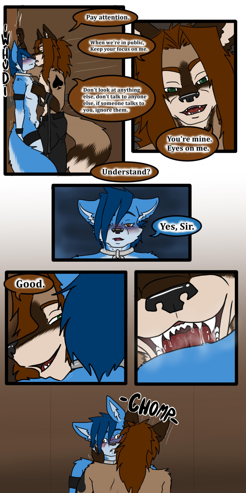 absurd_res against_surface against_wall anthro bite blue_body blue_fur blue_hair blush blush_lines bottomwear brown_eyes brown_hair canid canine canis clothing cobalt_(tatsuchan18) collar collar_ring comic cuffs_(clothing) dialogue duo english_text fox fur green_eyes hair hand_over_crotch head_on_shoulder hi_res hybrid leash male male/male male_focus male_only mammal metal_collar pants shoulder_bite slave spade_(tatsuchan18) speech_bubble tatsuchan18 teeth_showing text wolf