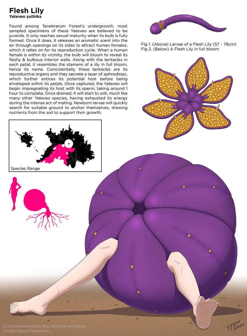 eeaten_then_fucked impregnation interspecies interspecies_impregnation monster original original_character plant tentacle tentacle_impregnation the_tentacle_professor vore x-ray xray_view