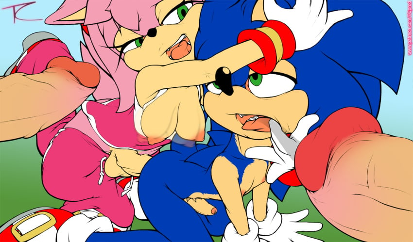 all_fours amy_rose anal anal_sex anthro bent_over breasts dickgirl dickgirl/male dickgirl_penetrating erection femboy foreskin from_behind futa_is_bigger futa_on_male futadom futanari girly hanging_breasts hedgehog intersex intersex/male intersex_penetrating kneeling male male_penetrated malesub mammal nipples open_mouth penis penis_size_difference smile sonic_(series) sonic_the_hedgehog tc tongue tongue_out uncut