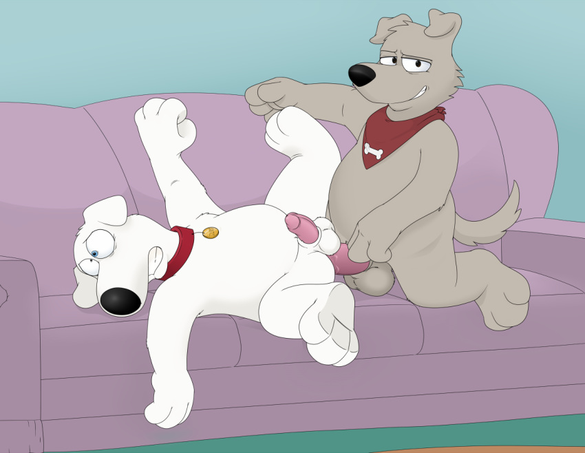 anal anal_sex balls blue_eyes brian_griffin canine family_guy looking_at_viewer lying male male_only mammal neenya new_brian orgasm penetration penis sex sofa yaoi