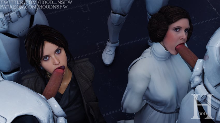 a_new_hope blowjob blowjob_face female jyn_erso looking_at_viewer princess_leia_organa rogue_one:_a_star_wars_story sfm_hood star_wars stormtrooper