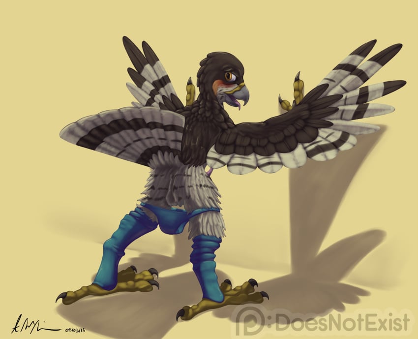 2018 against_wall anthro anus ass avian balls bird blush brown_feathers clothed clothing digital_media_(artwork) erection feathered_wings feathers hawk hi_res legwear lief_woodcock looking_back male male_only open_mouth orange_eyes panties panties_around_legs panties_down patreon penis presenting presenting_hindquarters raised_tail signature socks solo sparrowhawk standing stockings tail_feathers tan_feathers tapering_penis theandymac thigh_highs tongue topless underwear watermark wings