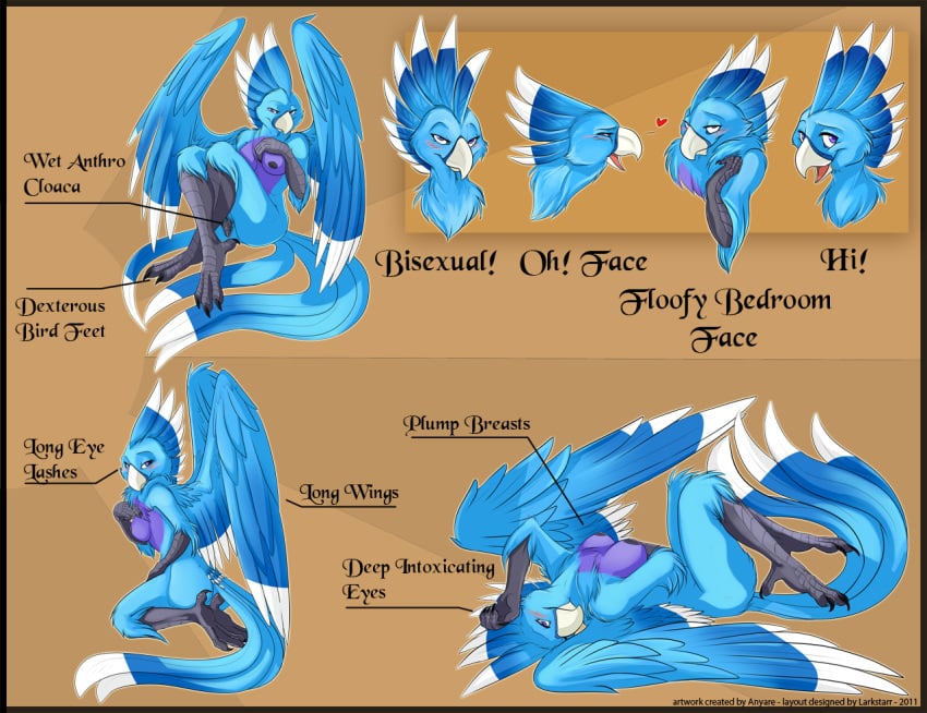 2011 animal_genitalia anthro anyare avian bird blue_feathers breasts cloaca cloud_(amaterasu1) feathers female macaw model_sheet multiple_poses parrot solo wings