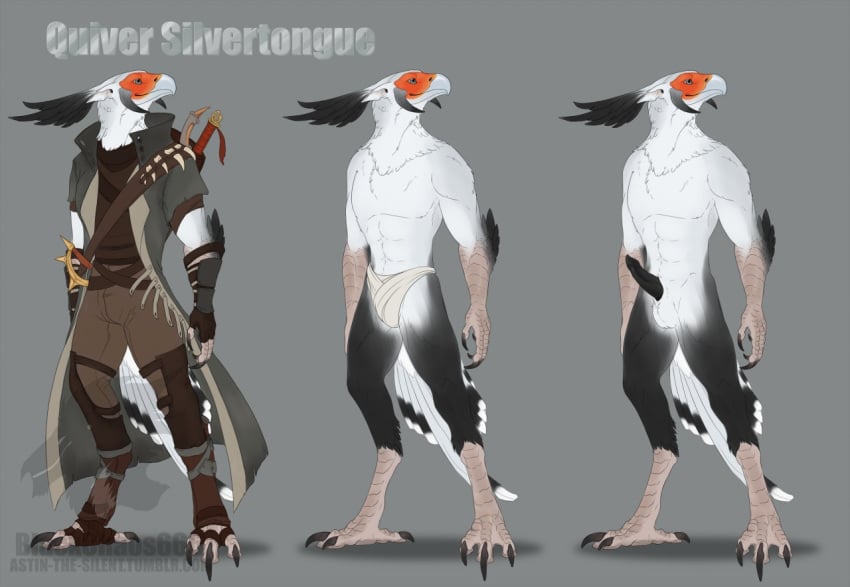 avian bird black_fur black_penis blackchaos666 clothing dagger erection fur guild_wars male_only melee_weapon model_sheet nude penis quiver_silvertongue secretary_bird tengu underwear video_games weapon white_fur