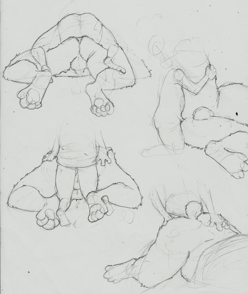 afrosoldier303 all_fours anal anthro ass_up balls bear chubby clothing doggy_style dripping from_behind human human_on_anthro interspecies legwear male male_only mammal on_top pads paws raised_leg sex sheath size_difference sketch sleeping sloppy_sideways socks unfinished yaoi