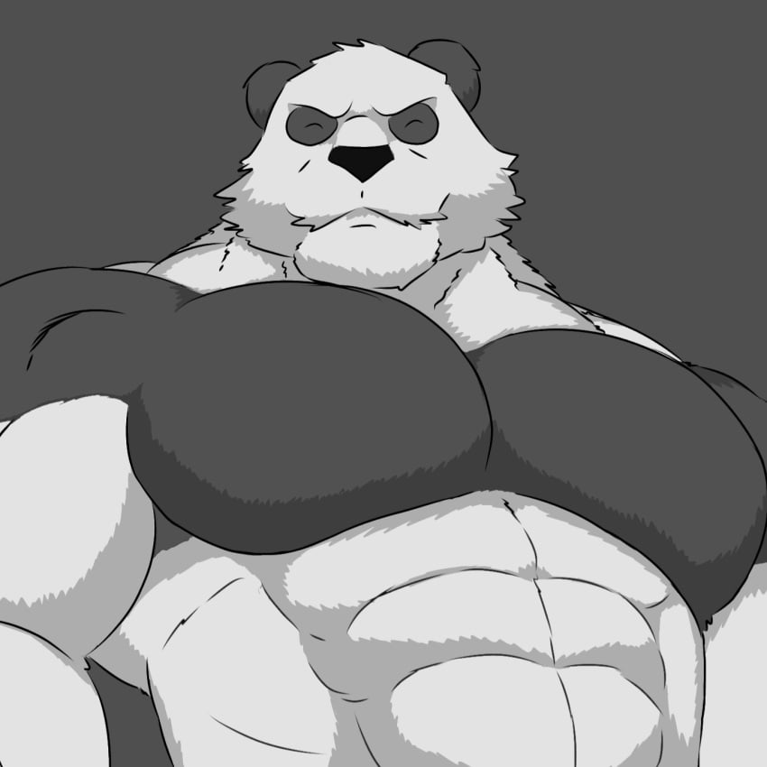 furry male muscular muscular_male panda pfp sfw