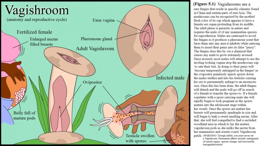 breasts creature_index daniwolf_(artist) egg_implantation fungus implied_transformation impregnation infestation inflation lactation large_breasts mushroom oviposition ovipositor parasite plant pregnant pussy spores testicle_egg_implantation testicle_oviposition text urethral_egg_implantation urethral_insertion urethral_oviposition urethral_penetration