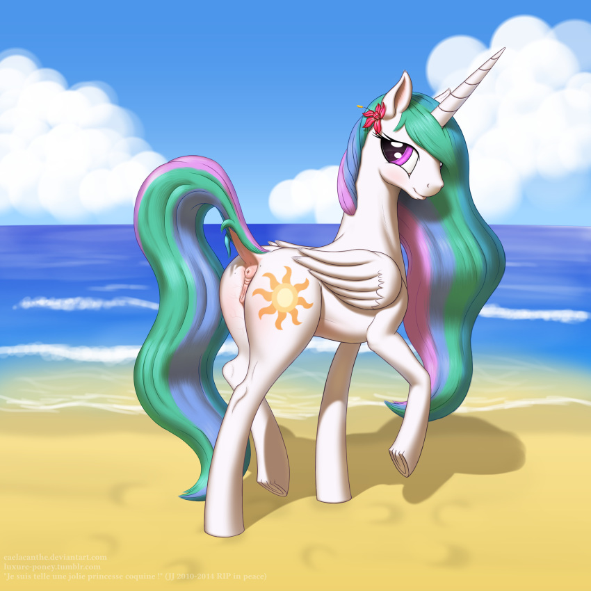 2015 absurd_res alicorn anatomically_correct anatomically_correct_pussy animal_genitalia anus ass beach caelacanthe cloud cutie_mark dock equine equine_pussy female feral flower friendship_is_magic hair hi_res horn long_hair looking_at_viewer mammal multicolored_hair my_little_pony outside plant princess_celestia_(mlp) pussy raised_leg seaside smile solo water wings