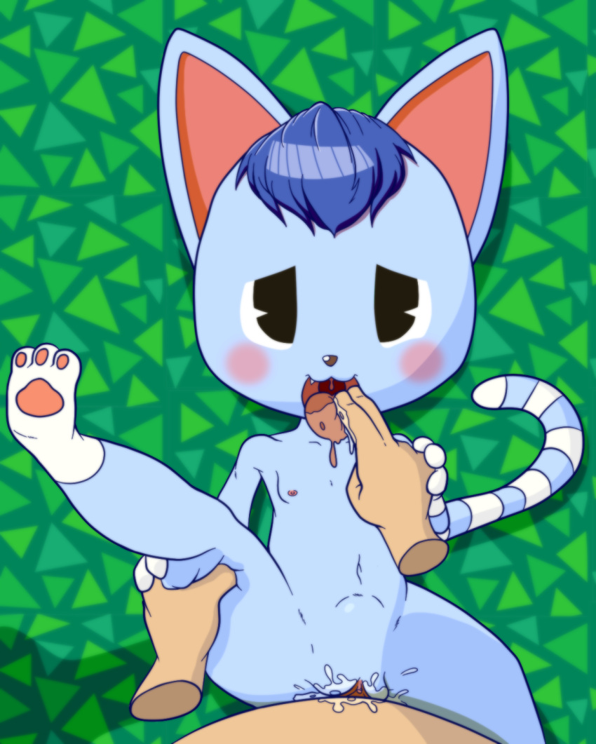 aku_no_novi animal_crossing anthro blue_fur blue_hair blush breasts cat cum duo feline female looking_at_viewer male mammal nintendo nipples nude open_mouth penetration pov pussy rosie_(animal_crossing) sex simple_background smile spread_legs spreading straight tongue vaginal_penetration