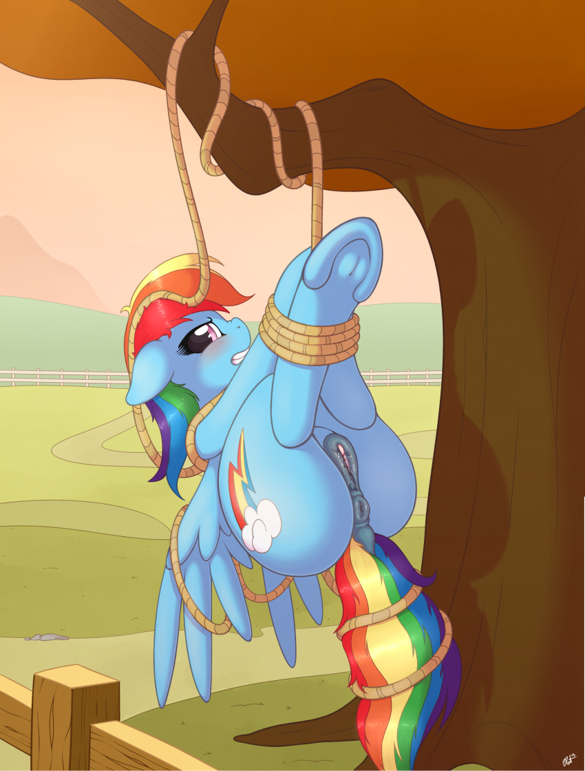 2015 absurd_res anatomically_correct anatomically_correct_pussy animal_genitalia anus blush bound cutie_mark dock edit equine equine_pussy female fence feral friendship_is_magic hair hi_res hooves looking_at_viewer mammal multicolored_hair my_little_pony outside pegasus pussy pussy_juice rainbow_dash_(mlp) rainbow_hair ratofdrawn restrained rope solo tree underhoof wet_pussy wings