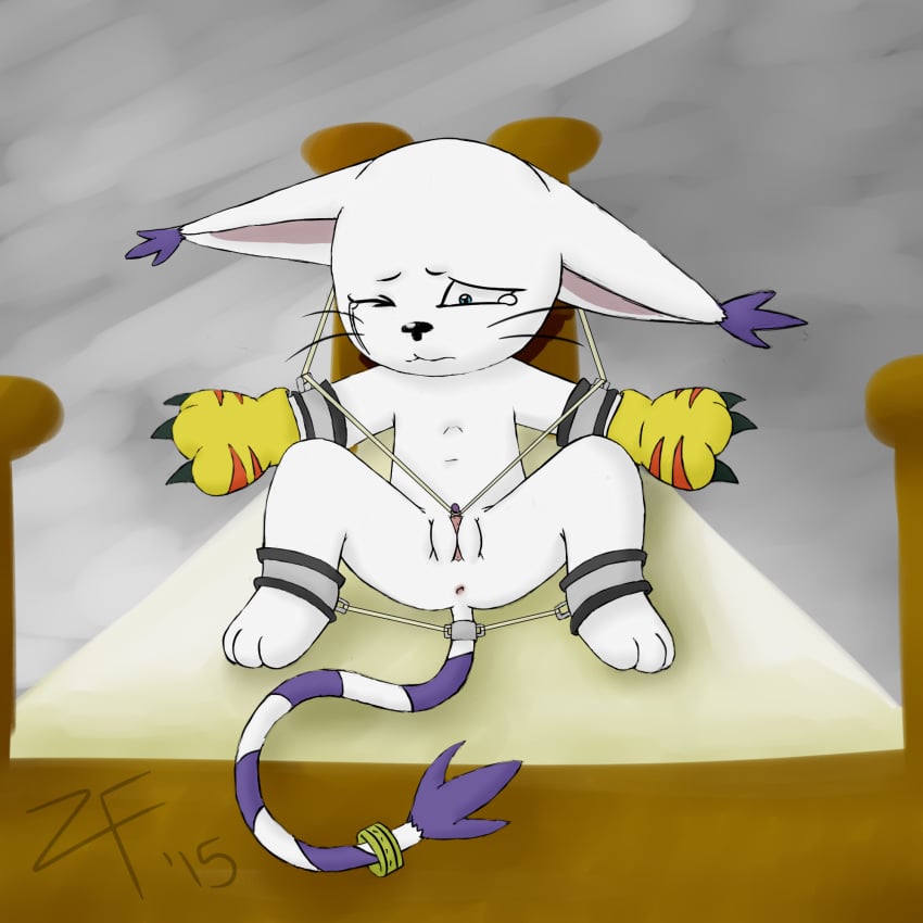 bed bondage bondage bound clitoris crying digimon female female_circumcision gatomon pussy sad tears whiskers zylyx