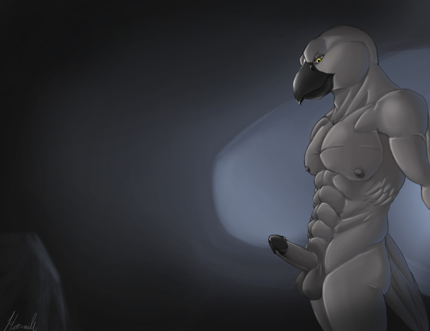 2017 anthro avian balls beak bird black_balls cave corvid crow dark feathers hamili light looking_down male male_only nipples nude penis rock simple_background solo tail_feathers yellow_eyes