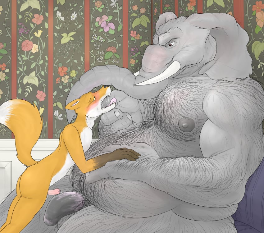 2015 age_difference animal_genitalia anthro ass balls belly black_nose blush body_hair brown_fur canine chest_hair drooling duo elephant erection eye_contact finger_in_mouth fox fur gator_(artist) grey_skin half-closed_eyes half-erect hi_res hirsute humanoid_penis inside larger_male licking male mammal muscles nipples old orange_fur overweight penis saliva sitting size_difference smaller_male sofa standing sucking teeth tongue tongue_out trunk tusks uncut wallpaper white_fur yaoi yellow_eyes