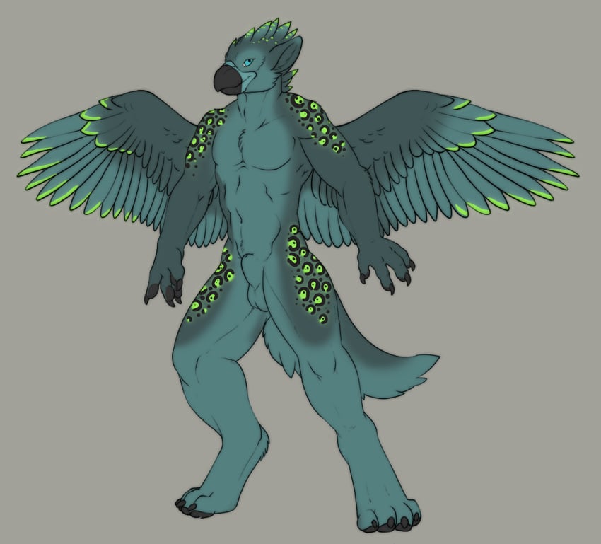 1boy 2014 aegis animal_genitalia anthro avian balls beak bird claws feathered_wings feathers looking_at_viewer male male_only model_sheet nude sheath simple_background solo standing tojo_the_thief wings